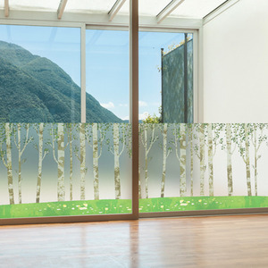 dgcn209-아름다운 자작나무숲-무점착 반투명 창문 시트지